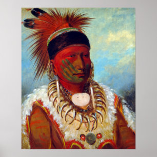 George Catlin de Witte Wolk, HoofdLeider Poster
