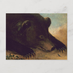 George Catlin - Grizzly Beer and Mouse Briefkaart