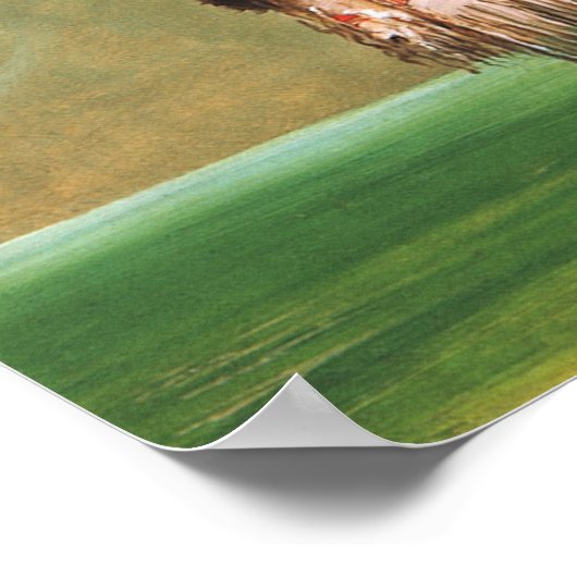  George Catlin, Indische Maiden Poster (Hoek)