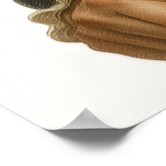 George Danton - French Revolution Print (Hoek)