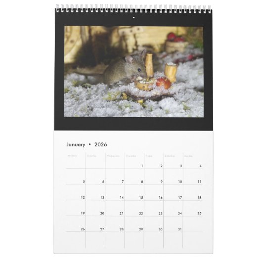 George de muis in een log stapel House kalender (Jan 2026)