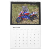 George de muis in een log stapel House kalender (Mar 2026)