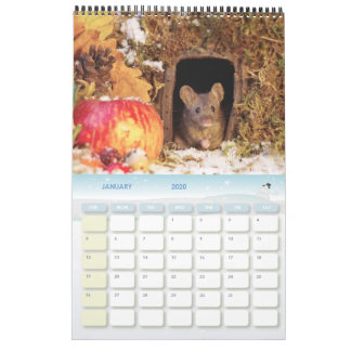 George de muis in een nieuw rooster van het bloeie kalender