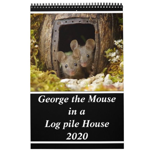 George de muis in een nieuw rooster van het bloeie kalender (Hoes)