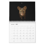 George de muis met zwarte achtergrond kalender (Jan 2027)