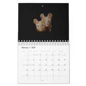 George de muis met zwarte achtergrond kalender (Feb 2027)