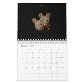 George de muis met zwarte achtergrond kalender (Feb 2026)