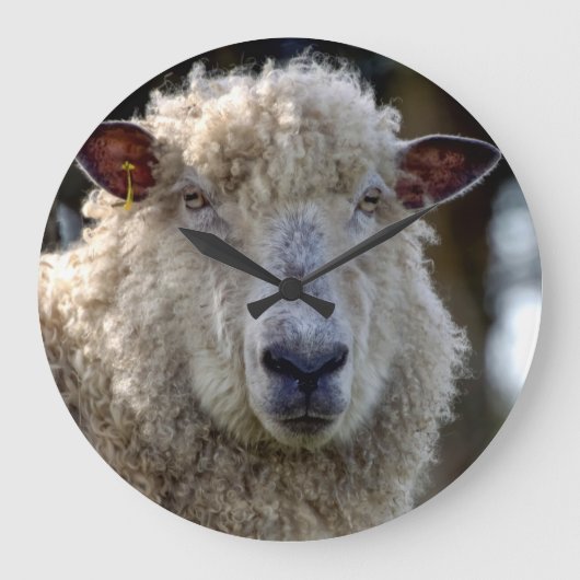 'George' De Sheep Photo Clock Grote Klok (Voorkant)