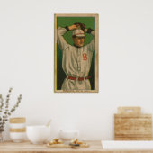 George Ferguson, Boston Doves Poster (Keuken)