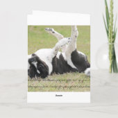 George gezegdehallo kaart (Achterkant)