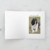 George gezegdehallo kaart (Binnen)