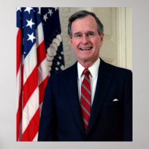 George H.W. Struik Poster