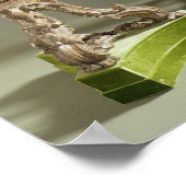 George II chinoiserie torcheres, c.1750 Poster (Hoek)