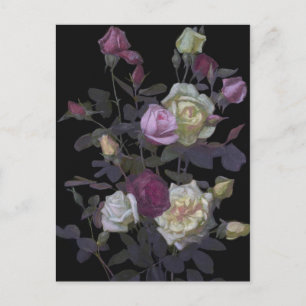 George Lambdin leeft nog steeds met Rozen Briefkaart