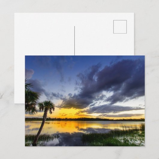 George Lestrange Preserve, Fort Pierce, Florida Briefkaart (Voorkant / Achterkant)