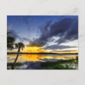 George Lestrange Preserve, Fort Pierce, Florida Briefkaart (Voorkant)