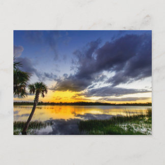 George Lestrange Preserve, Fort Pierce, Florida Briefkaart