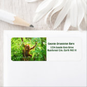 George Orangutan Etiket (Insitu)