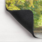 George St Bridge in Herfst Muismat (Hoek)