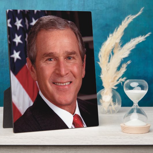 George Struik 43rd Amerikaans President Foto Fotoplaat (Zijkant)