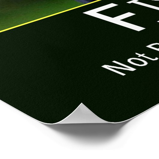 George Struik Vist Poster (Hoek)