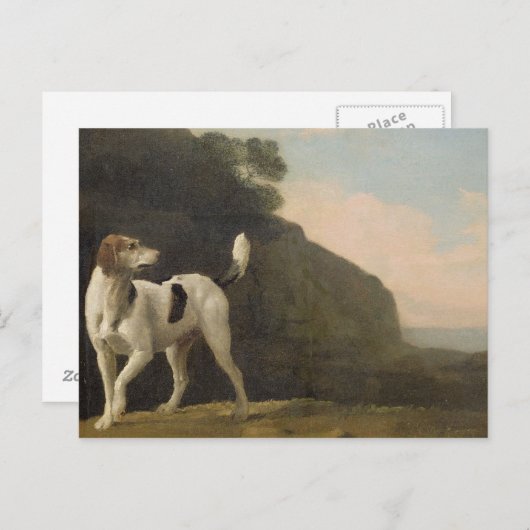 George Stubbs | A Foxhound, c.1760 (olie op papier Briefkaart (Voorkant / Achterkant)