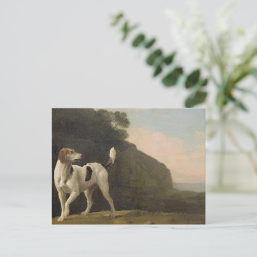 George Stubbs | A Foxhound, c.1760 (olie op papier Briefkaart (Staand voorkant)