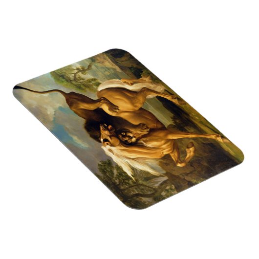 George Stubbs | A Lion Attacking a Horse, c.1762 ( Magneet (Rechterzijde)