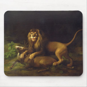George Stubbs   A Lion Attacking a Stag, c.1765 (o Muismat