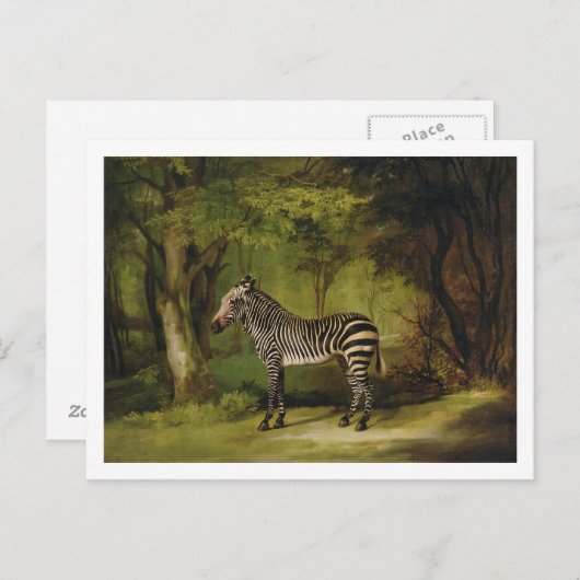 George Stubbs | A Zebra, 1763 (olie op doek) Briefkaart (Voorkant / Achterkant)