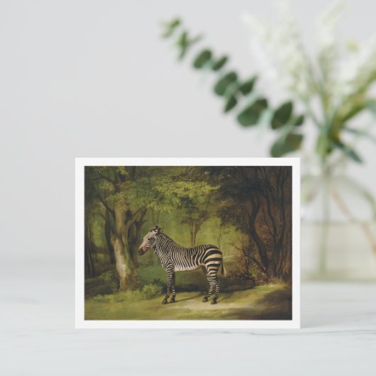 George Stubbs | A Zebra, 1763 (olie op doek) Briefkaart (Staand voorkant)