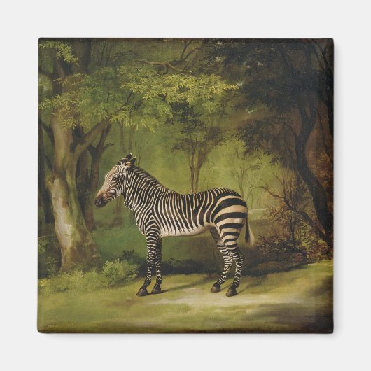 George Stubbs | A Zebra, 1763 (olie op doek) Magneet (Voorkant)