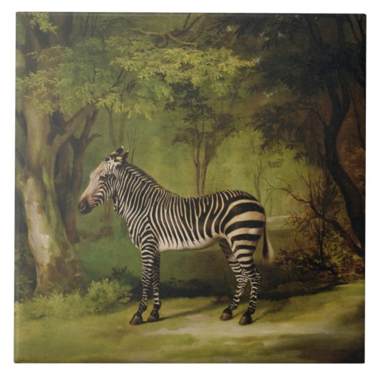 George Stubbs | A Zebra, 1763 (olie op doek) Tegeltje (Voorkant)