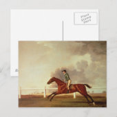 George Stubbs | Bay Malton met John Singleton Up, Briefkaart (Voorkant / Achterkant)