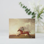 George Stubbs | Bay Malton met John Singleton Up, Briefkaart (Staand voorkant)