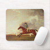 George Stubbs | Bay Malton met John Singleton Up, Muismat (Met muis)