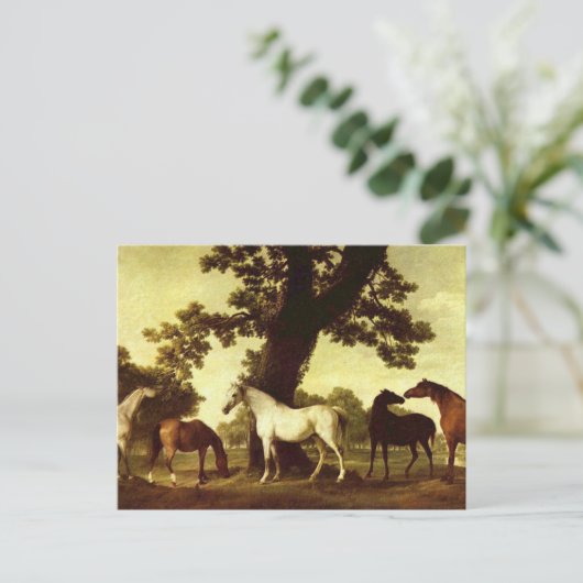 George Stubbs Briefkaart (Staand voorkant)