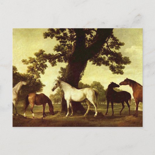 George Stubbs Briefkaart (Voorkant)