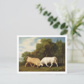 George Stubbs | Bulls Fighting, 1786 (olie op het  Briefkaart (Staand voorkant)
