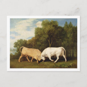 George Stubbs   Bulls Fighting, 1786 (olie op het  Briefkaart