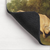 George Stubbs | Bulls Fighting, 1786 (olie op het Muismat (Hoek)