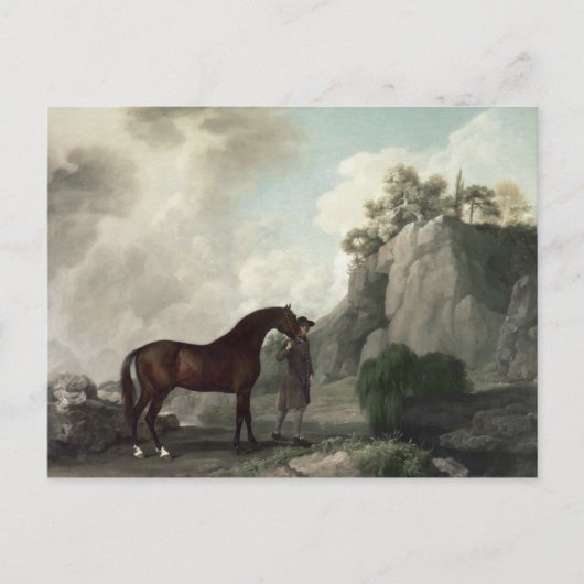 George Stubbs | Cato's en Groom Briefkaart (Voorkant)