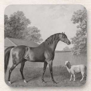 George Stubbs   Dungannon, gegraveerd door George  Drankjes Onderzetter