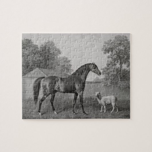 George Stubbs | Dungannon, gegraveerd door George Legpuzzel (Horizontaal)