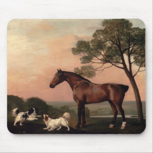 George Stubbs - een Baai jager met twee Spanjaarde Muismat