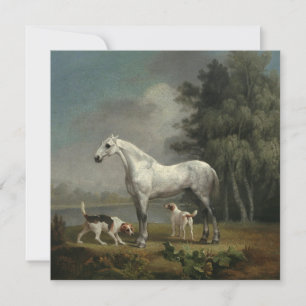 George Stubbs - Een dapple Gray Hunter Feestdagenkaart