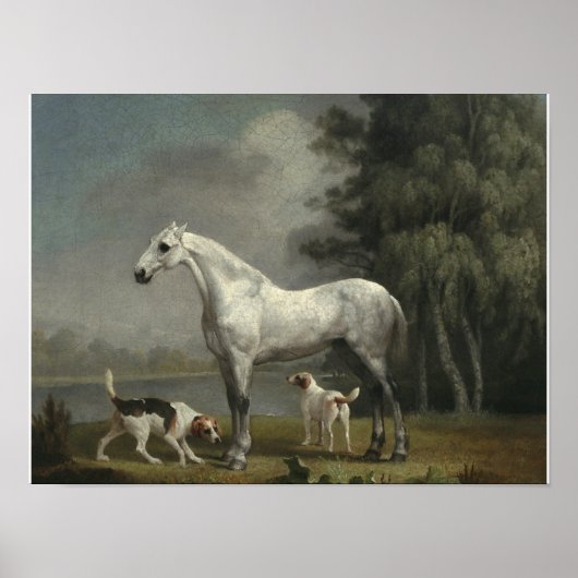 George Stubbs - Een dapple Gray Hunter Poster (Voorkant)