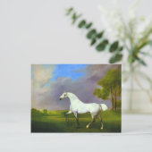 George Stubbs - Een grijs paard Briefkaart (Staand voorkant)