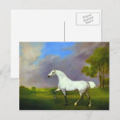 George Stubbs - Een grijs paard Briefkaart (Voorkant / Achterkant)