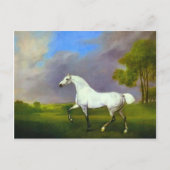 George Stubbs - Een grijs paard Briefkaart (Voorkant)